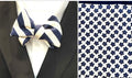 Blue Stripe and Starts