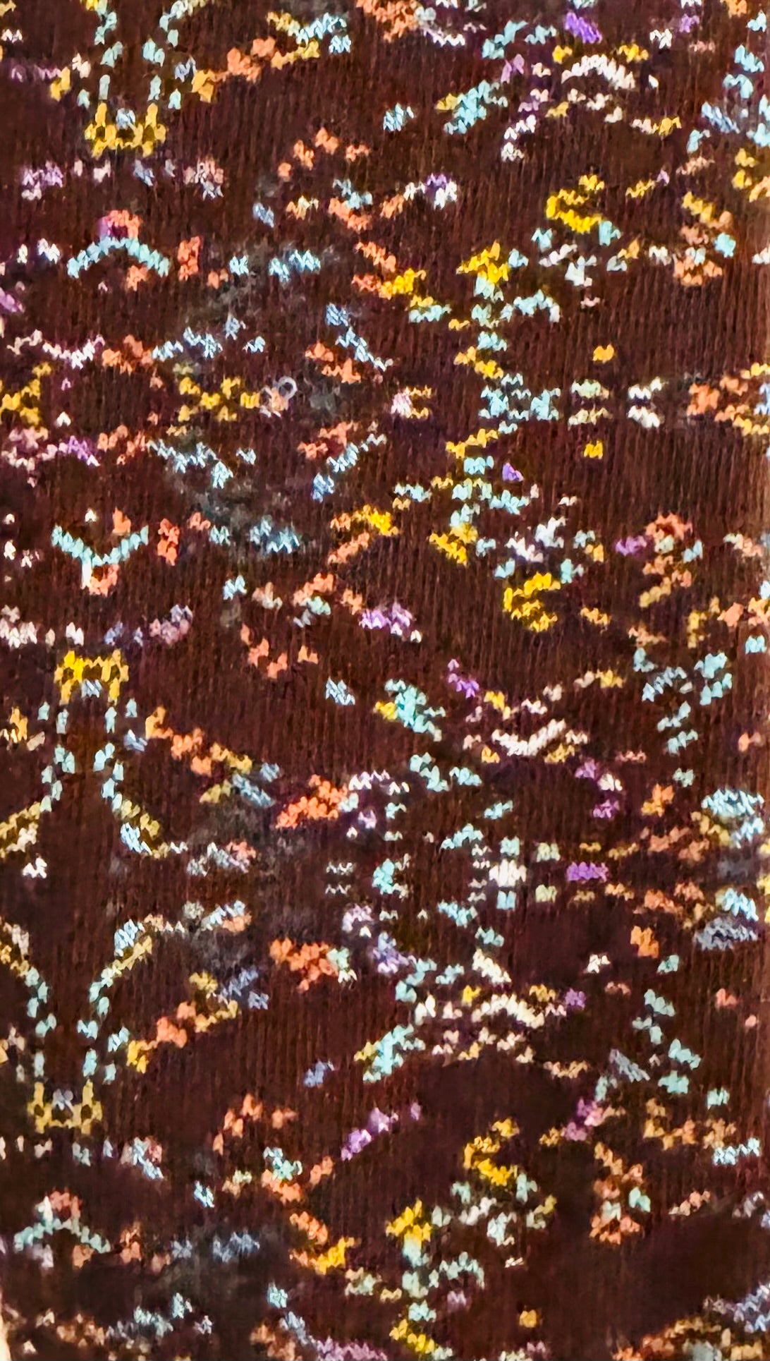 Robert Graham-Fiesta
